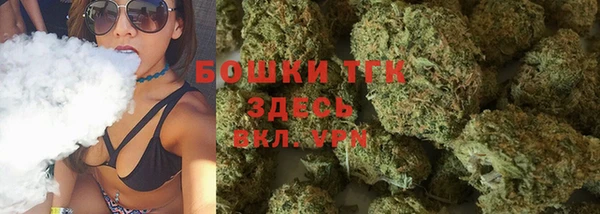 прущий лед Алзамай