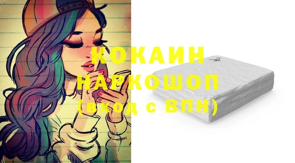 прущий лед Алзамай