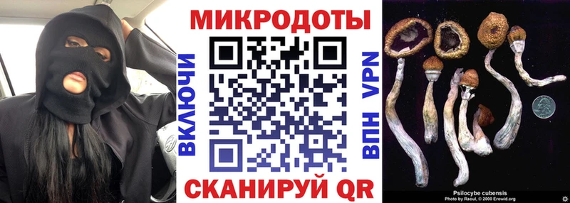 Галлюциногенные грибы прущие грибы цена Избербаш